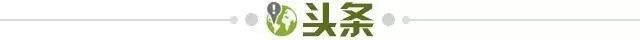 世界杯官方客户端入口-【早报】中国速度！亚洲之光！苏炳添的9秒83神迹！