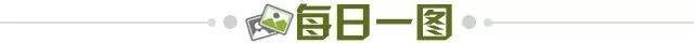 1237c6b9-155a-4b34-b37f-bdeb62a3f6bc.jpg@!img01
